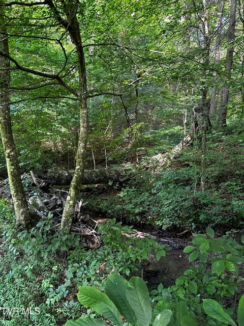 Photo #15: 1013 Cloud Creek Road