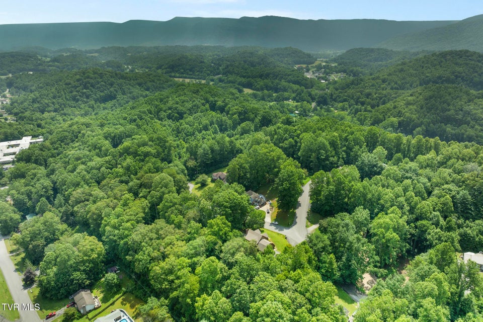 Photo #79: 2019 Ridgeview Drive