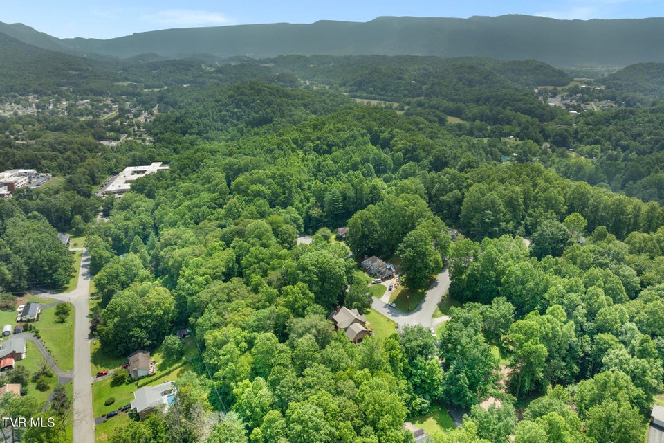 Photo #80: 2019 Ridgeview Drive