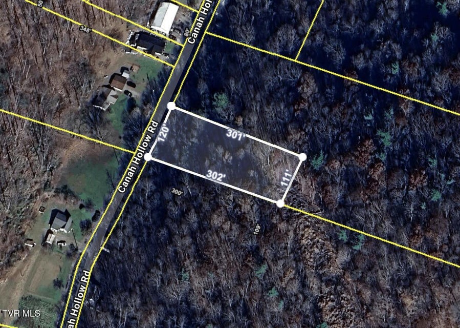 Photo #3: Tbd Canah Hollow Road