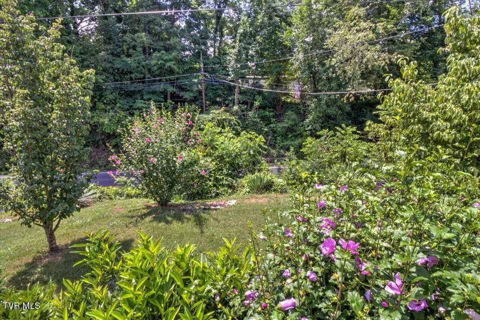 Photo #45: 2589 Elizabethton Highway