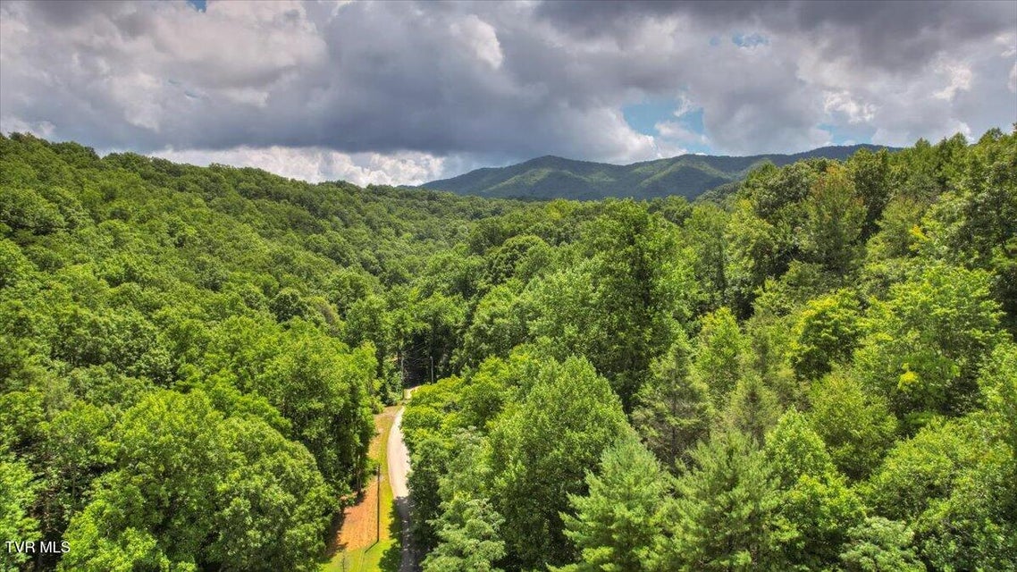 Photo #69: 542 Sigman Hollow Road