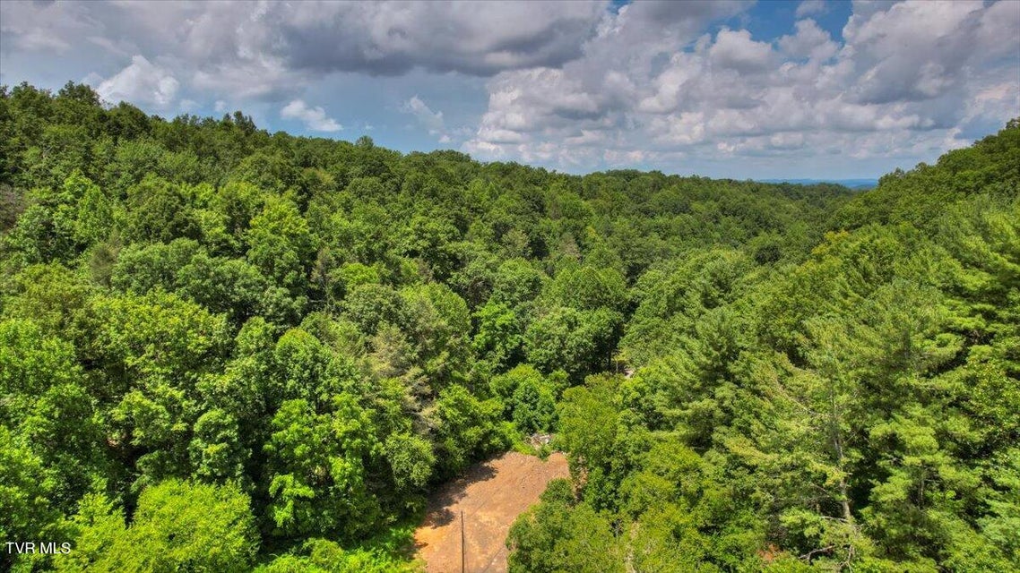 Photo #72: 542 Sigman Hollow Road
