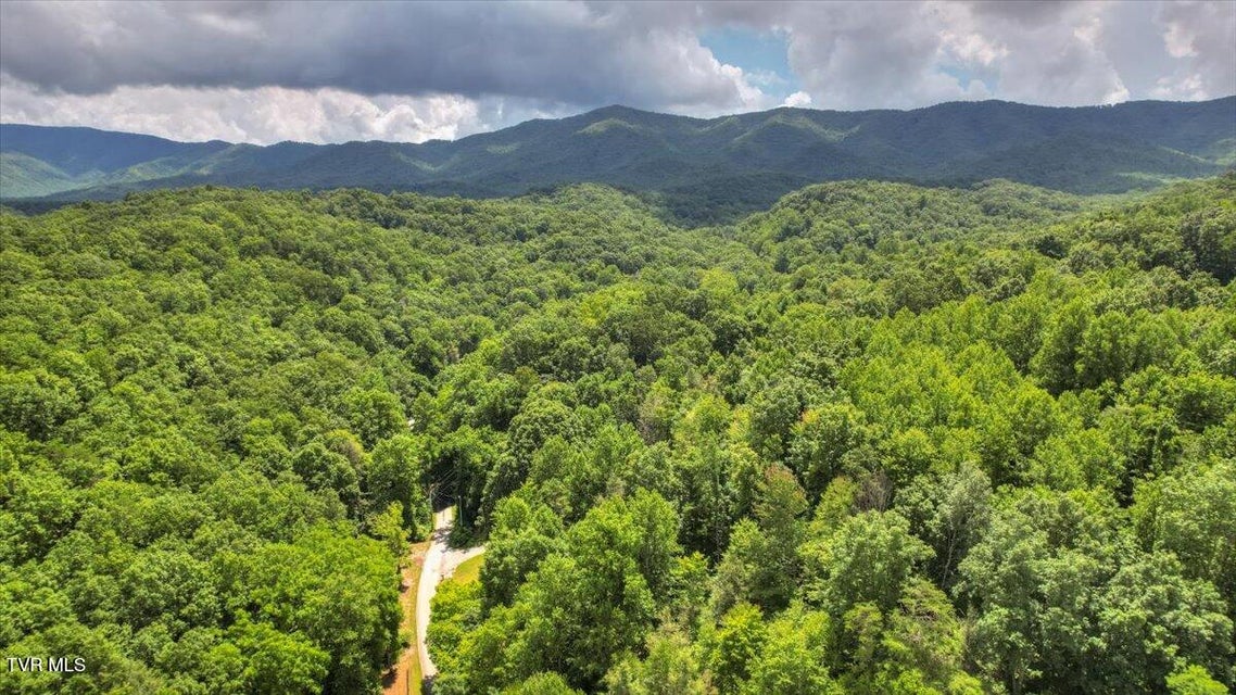Photo #76: 542 Sigman Hollow Road