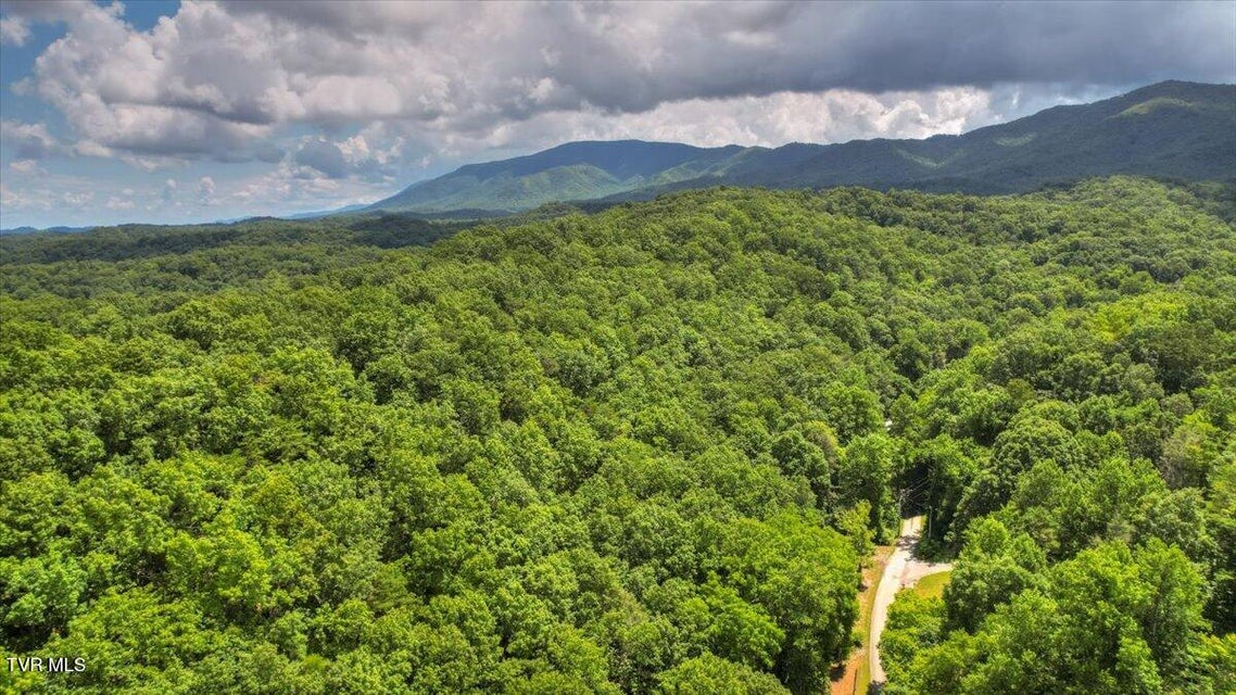 Photo #77: 542 Sigman Hollow Road