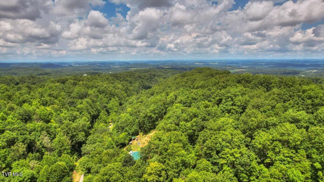 Photo #79: 542 Sigman Hollow Road