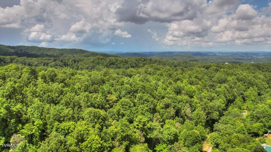 Photo #80: 542 Sigman Hollow Road