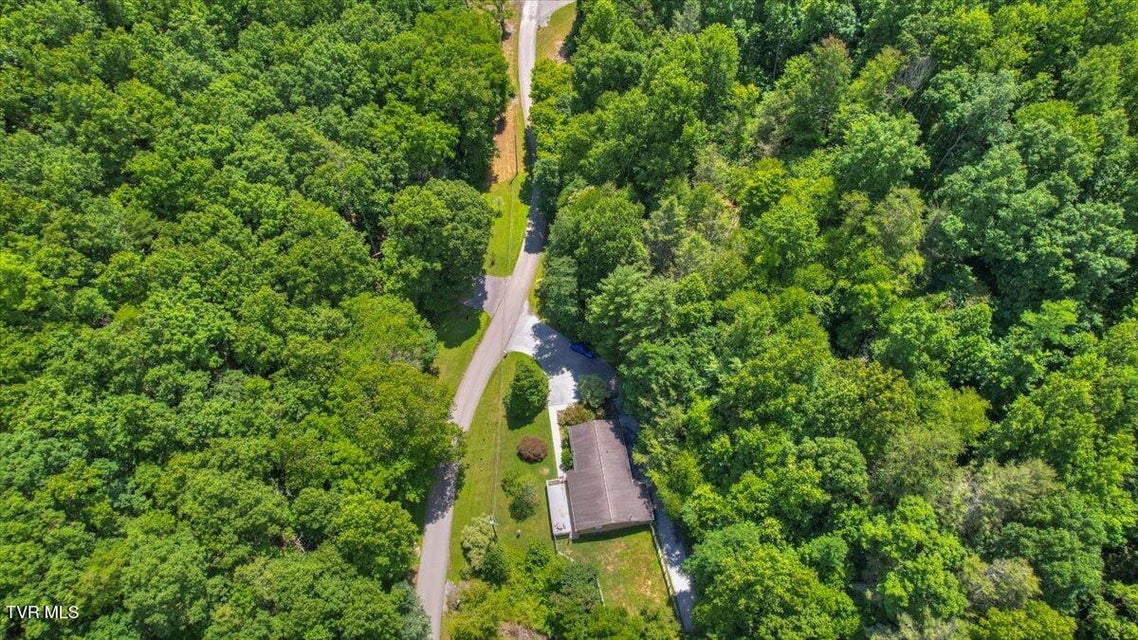 Photo #84: 542 Sigman Hollow Road