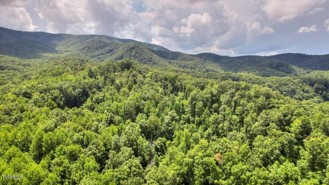 Photo #85: 542 Sigman Hollow Road