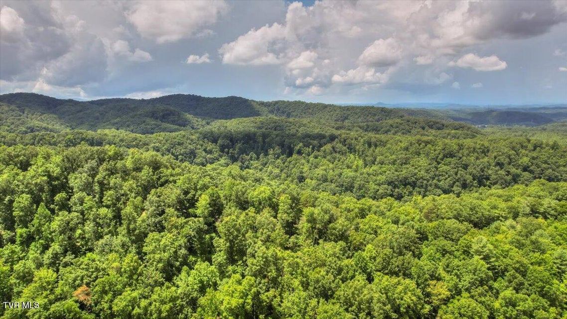 Photo #86: 542 Sigman Hollow Road