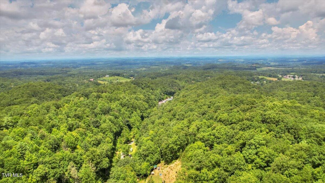 Photo #87: 542 Sigman Hollow Road