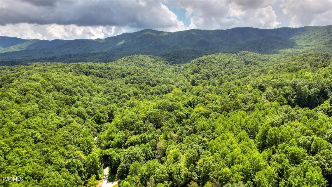 Photo #90: 542 Sigman Hollow Road