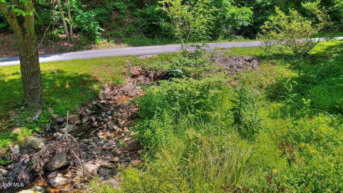 Photo #94: 542 Sigman Hollow Road