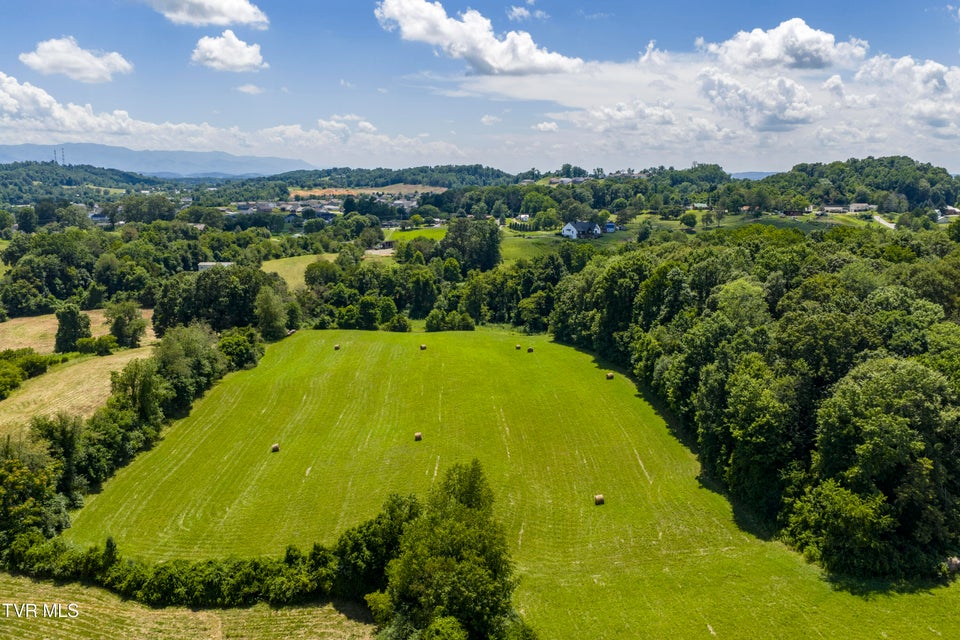 Photo #11: Tbd Forester Lane