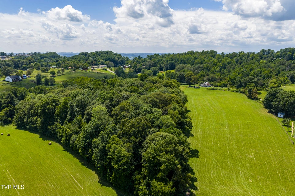Photo #12: Tbd Forester Lane