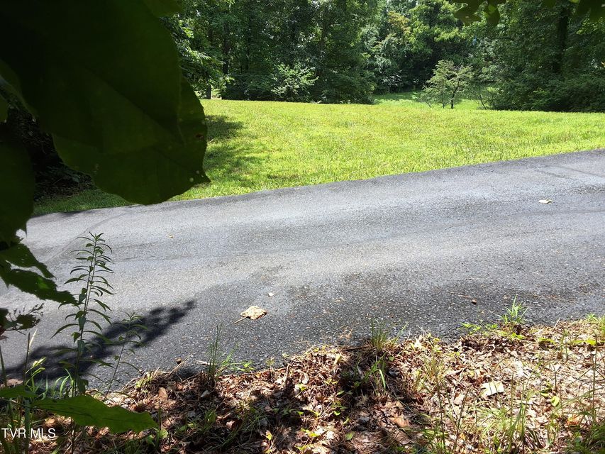 Photo #18: 0 Arnold Palmer Dr 
