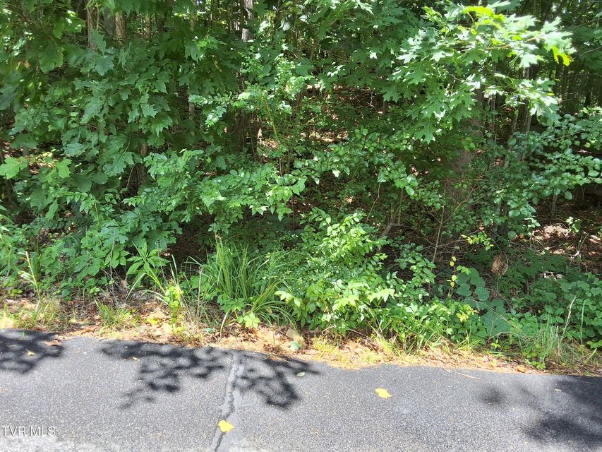 Photo #19: 0 Arnold Palmer Dr 