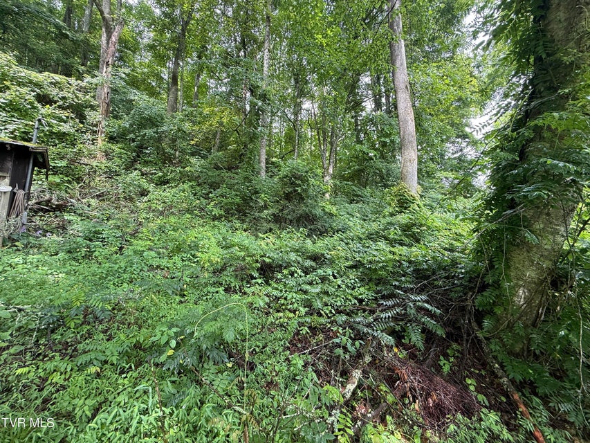 Photo #9: 201 Mill Creek Road