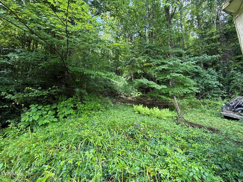 Photo #14: 201 Mill Creek Road