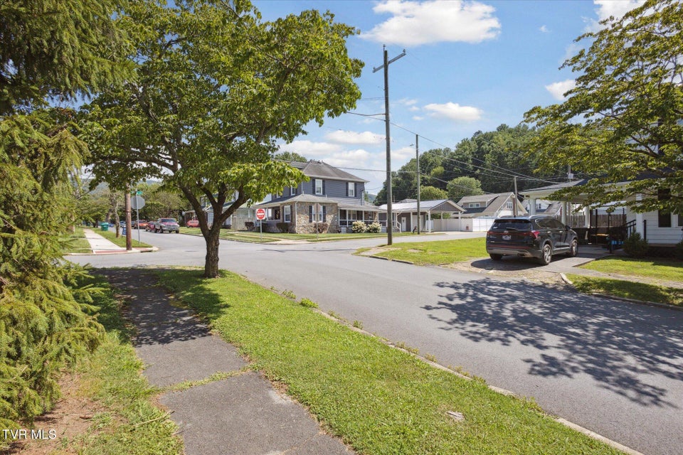 Photo #29: 335 Catawba Street