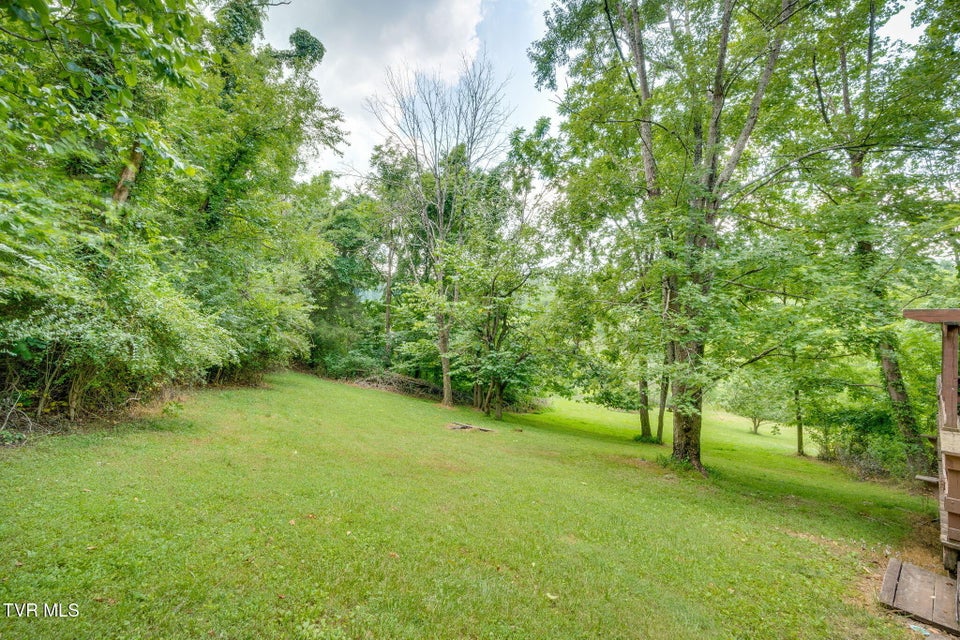 Photo #25: 299 Dogwood Drive