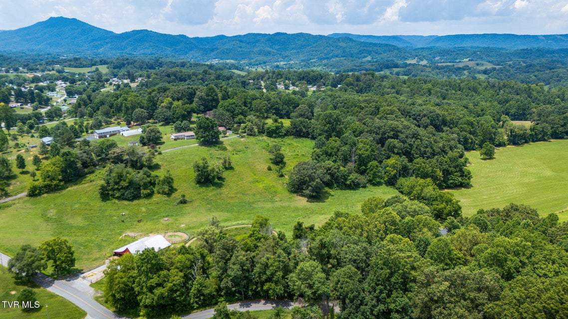 Photo #29: 299 Dogwood Drive