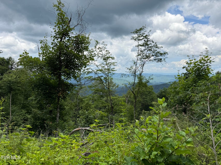 Photo #6: Tbd Log Cabin Lane