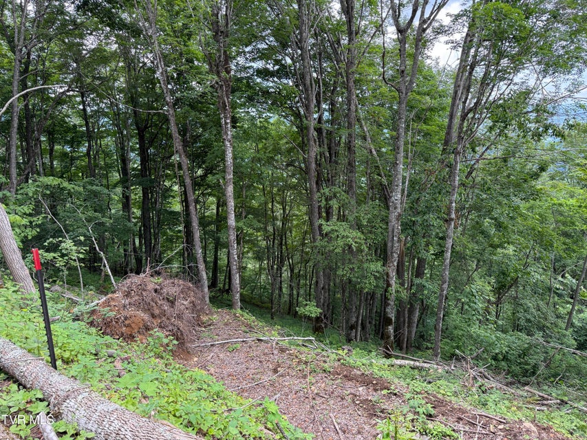 Photo #9: Tbd Log Cabin Lane
