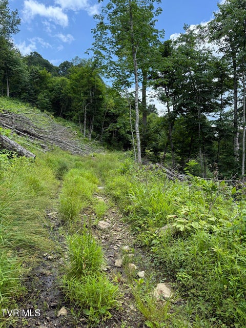 Photo #5: Tbd Log Cabin Lane