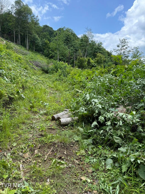 Photo #4: Tbd Log Cabin Lane