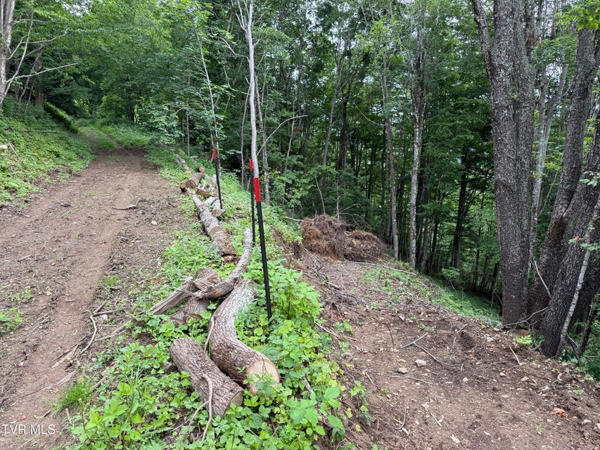 Photo #10: Tbd Log Cabin Lane
