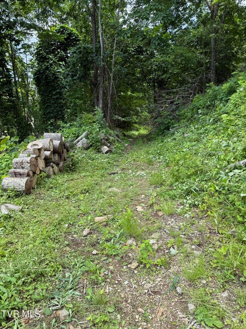 Photo #3: Tbd Log Cabin Lane
