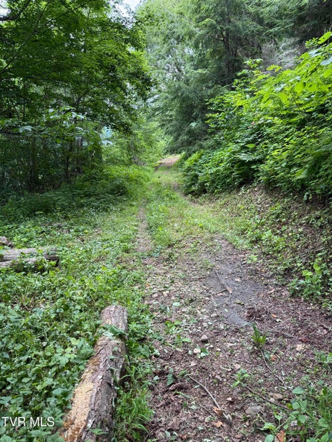 Photo #7: Tbd Log Cabin Lane