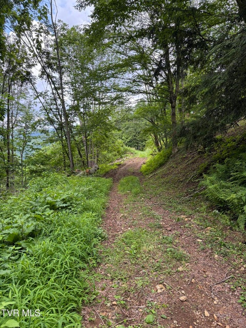 Photo #8: Tbd Log Cabin Lane