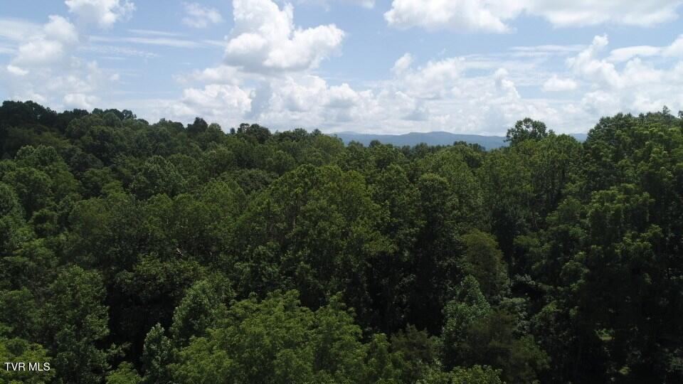 Photo #2: 0 Pocahontas Trail