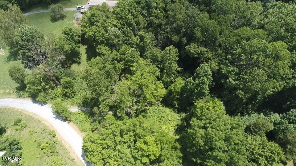 Photo #3: 0 Pocahontas Trail