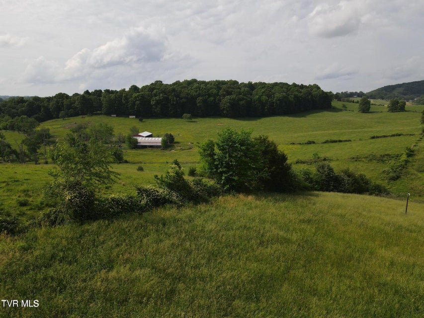 Photo #3: Tbd Hales Chapel Rd