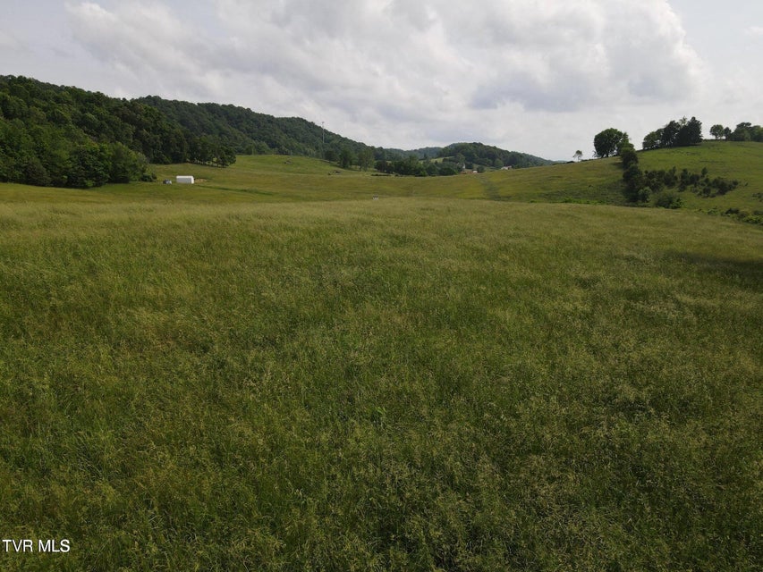 Photo #10: Tbd Hales Chapel Rd