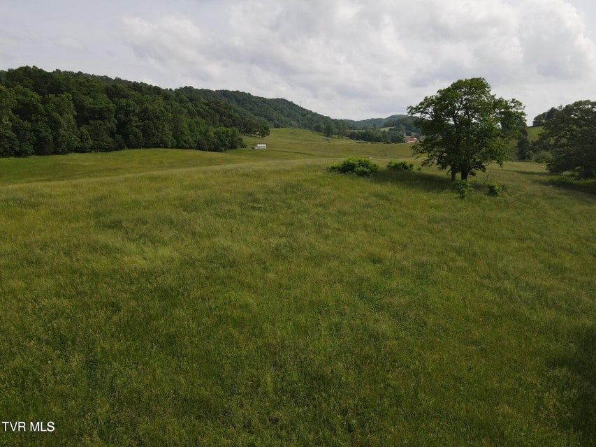 Photo #11: Tbd Hales Chapel Rd