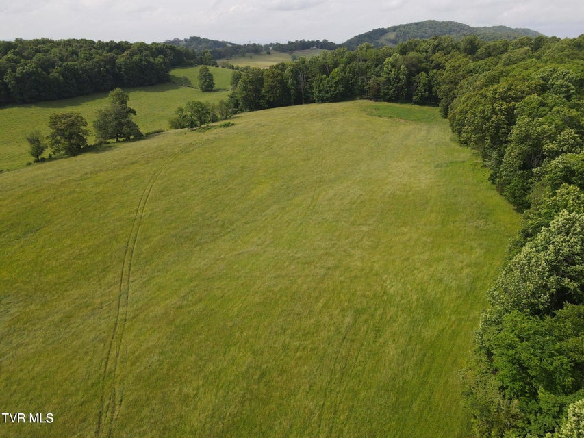 Photo #18: Tbd Hales Chapel Rd