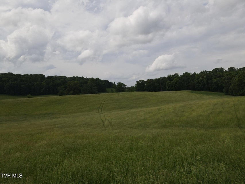 Photo #29: Tbd Hales Chapel Rd