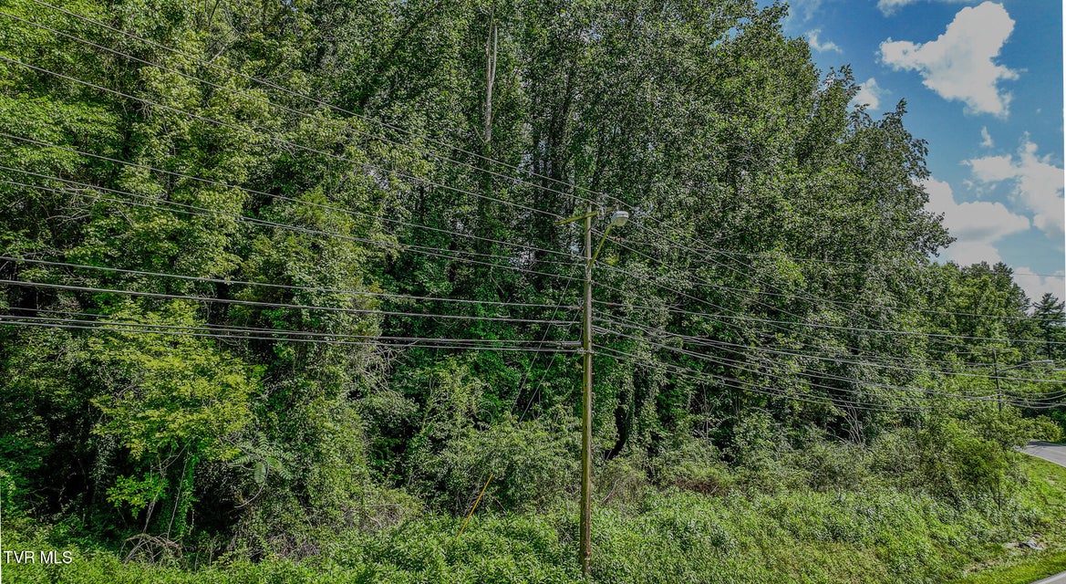 Photo #5: 4 & 5 Lebanon Road