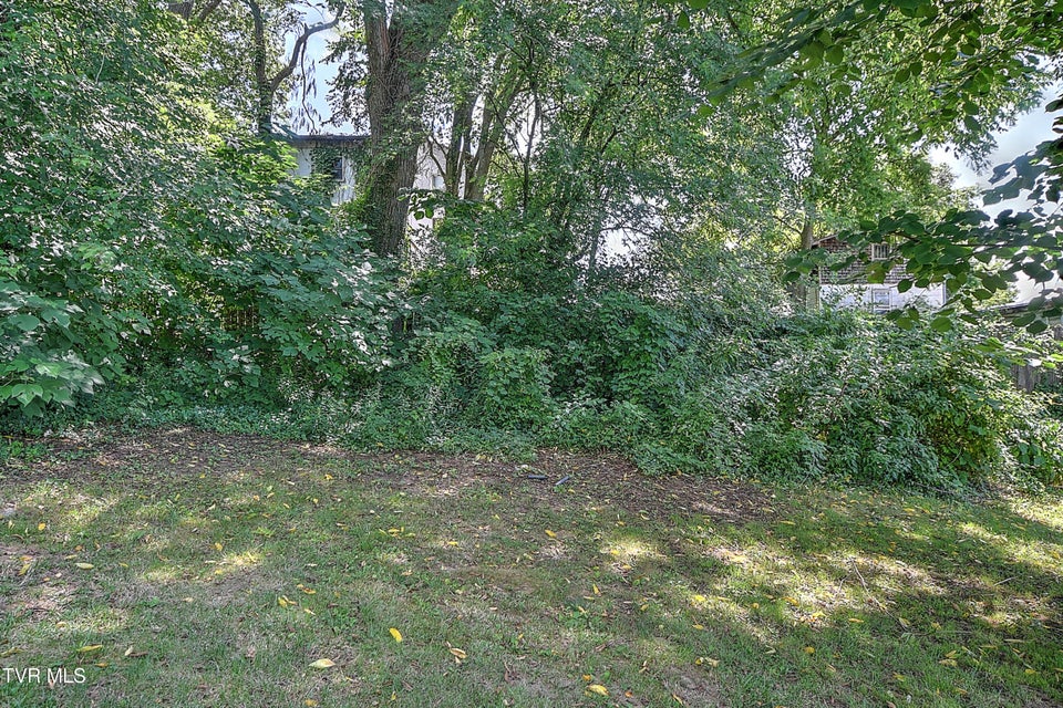 Photo #41: 1383 Farragut Avenue