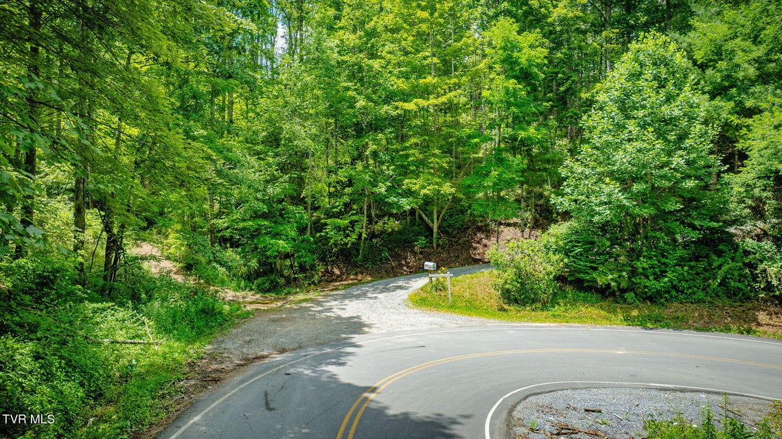 Photo #48: 1196 Buck Mountain Road