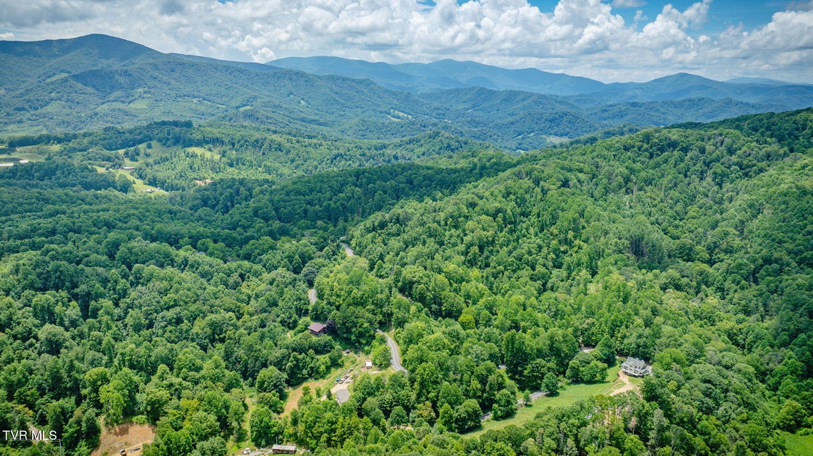Photo #52: 1196 Buck Mountain Road