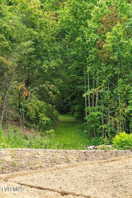 Photo #39: 225 John Glover Road