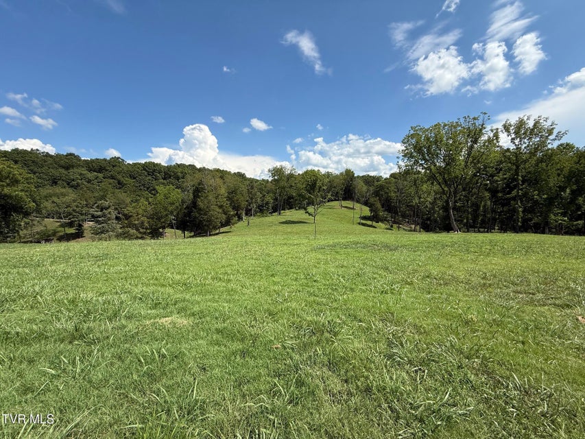 Photo #3: 2246 Turkey Ridge Lane Drive