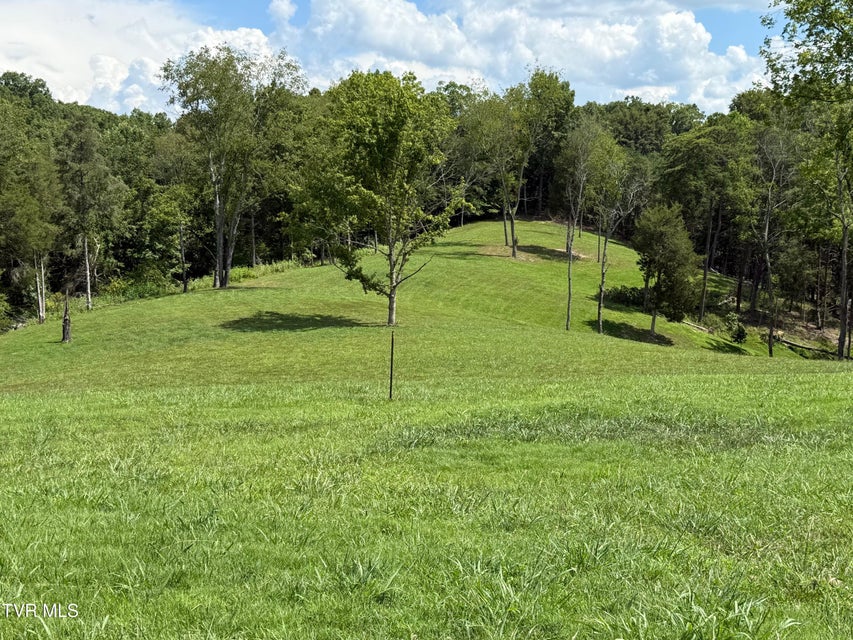 Photo #2: 2246 Turkey Ridge Lane Drive