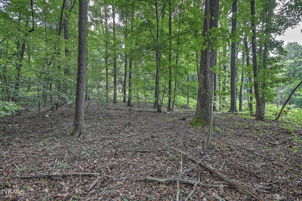 Photo #6: Tract 1l Payne Ridge Road