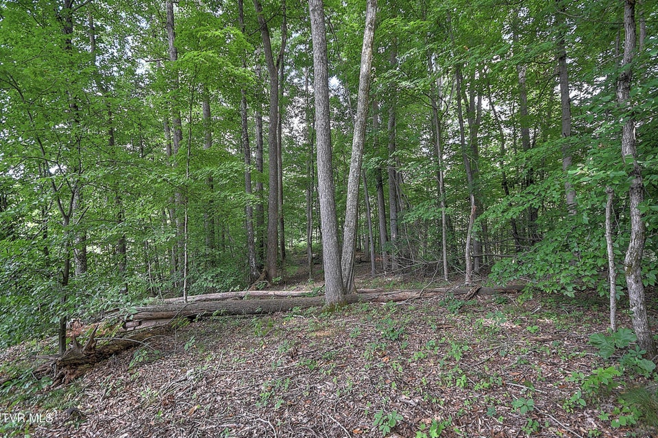 Photo #8: Tract 1l Payne Ridge Road